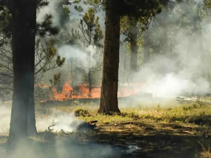 Why Embracing Conflict Now Can Prevent Catastrophe Later | Business Report - Making A Difference | Scoop.it