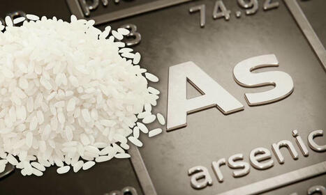 Riz - Une contamination à l’arsenic à prendre en compte  | Toxique, soyons vigilant ! | Scoop.it