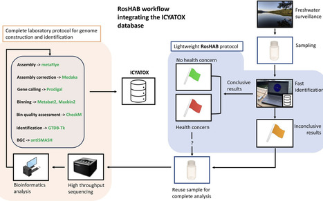 Rapid on-site detection of harmful algal blooms: real-time cyanobacteria identification using Oxford Nanopore sequencing | Frn | RMH | Scoop.it
