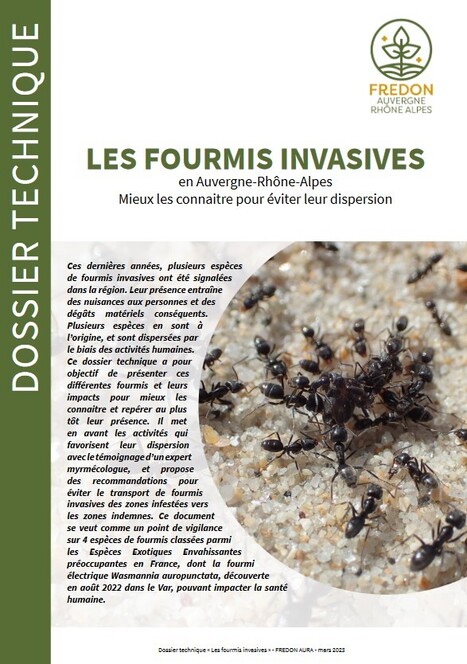 Dossier technique portant sur les fourmis invasives en Auvergne Rhône-Alpes et recommandations du Passe jardins | Insect Archive | Scoop.it