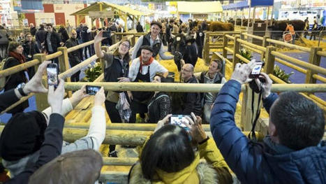 Images et représentations de l'agriculture dans la société française d'aujourd'hui - Ministère de l'agriculture | Agriculture et communication positive | Scoop.it