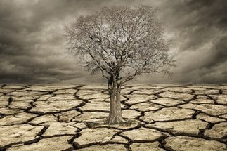 Le stress hydrique, une pr&eacute;occupation des maires pour le prochain mandat | Veille juridique du CDG13 | Scoop.it