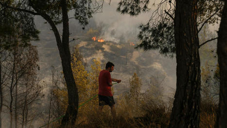 GRÈCE: lutte acharnée contre plusieurs incendies de forêt près d'Athènes | CIHEAM Press Review | Scoop.it