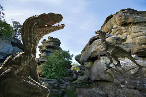 Dinosaurs from the Triassic, Jurassic, and Cretaceous Periods | Dinosaur Habitats | Scoop.it