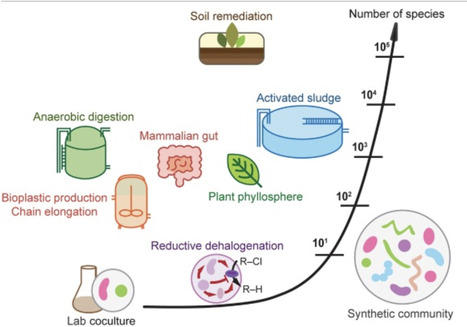 Managing microbial interactions in environmental biotechnology: can we scale interaction principles? | tin | RMH | Scoop.it