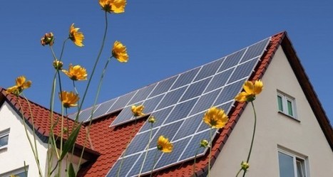Court Rules Off-The-Grid Living Is Illegal | Off The Grid News | Peer2Politics | Scoop.it