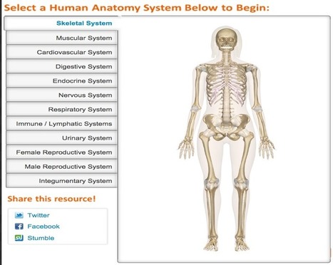 Great Websites to Teach Anatomy of Human Body in 3D | Human Interest | Scoop.it