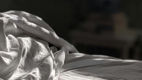 Pourquoi les scientifiques d&eacute;conseillent-ils de faire son lit le matin ? | Vari&eacute;t&eacute;s entomologiques | Scoop.it
