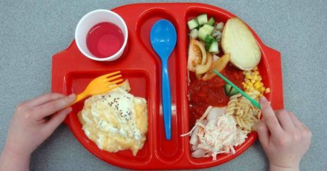 One in four North East pupils could have gone hungry during summer holidays | In the news: data in the UK Data Service collection across the web | Scoop.it