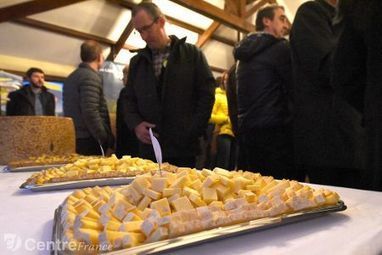 Fromages : Les ambitions de la filière Aop Cantal | Lait de Normandie... et d'ailleurs | Scoop.it