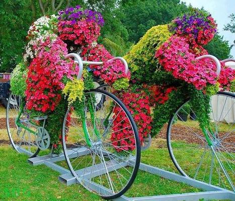 Playing with flowers | Gardening Life | Scoop.it