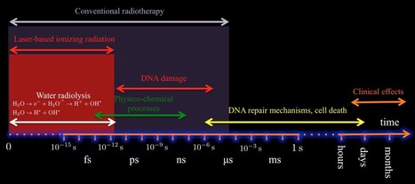 Radioterapia pulsada de rayos X | Ciencia-Física | Scoop.it