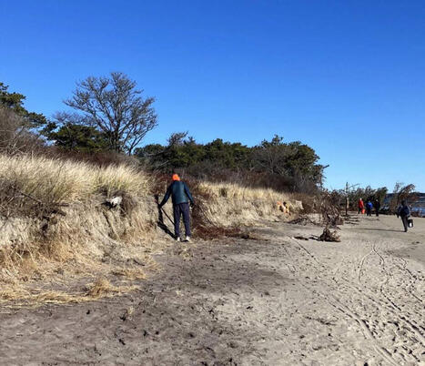 As erosion worsens, Maine considers future of popular Popham Beach State Park | by&nbsp;Peter McGuire, Maine Public | WBUR News | WBUR.org | @The Convergence of ICT, the Environment, Climate Change, EV and HEV Transportation & Distributed Renewable Energy | Scoop.it