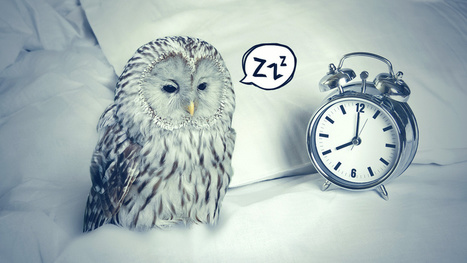 Why You're Not a Morning Person (and How to Become One) | BeBetter | Scoop.it