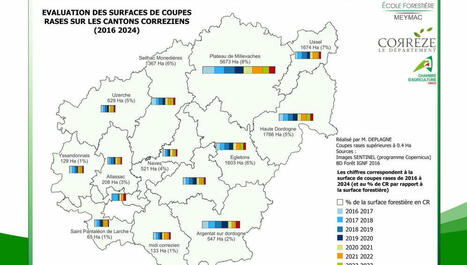 Corrèze : un outil de télédétection pour quantifier les coupes rases et suivre l'évolution de la forêt - ici | Télédétection veille IST INRAE & AgroParisTech | Scoop.it