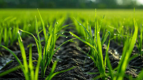 Les élèves des lycées agricoles sont-ils hostiles à l’agroécologie ? | Planète DDurable | Scoop.it