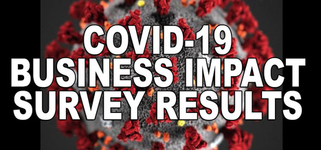 SURVEY RESULTS: Impact of COVID-19 on Newtown Businesses | Newtown News of Interest | Scoop.it
