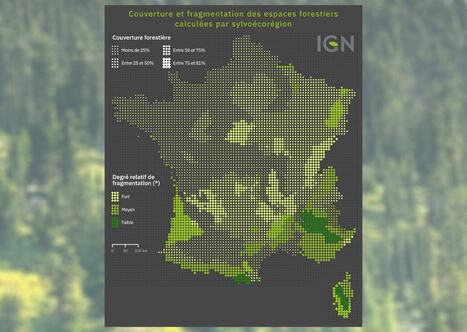 Une nouvelle cartographie de référence des forêts françaises publiée par l’IGN | Banque des territoires | La SELECTION du Web | CAUE des Vosges - www.caue88.com | Scoop.it