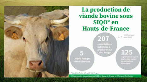 Zoom sur la production de viande bovine sous signe de qualité en Hauts-de-France | Actualité Bétail | Scoop.it