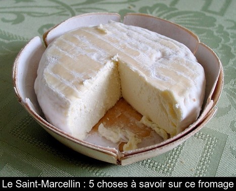 Le Saint-Marcellin IGP, un fromage à pâte molle et à croûte fleurie | Lait de Normandie... et d'ailleurs | Scoop.it