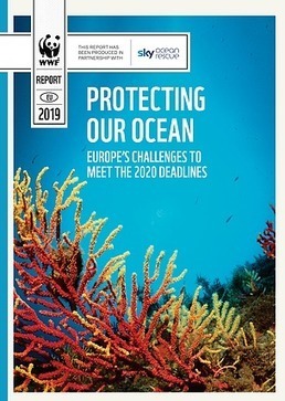 EU failing 2020 commitments for marine biodiversity protection - WWF | Biodiversité | Scoop.it