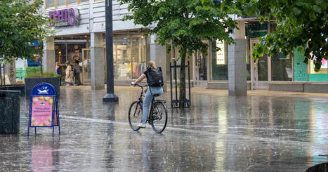 Vaarallisia tuulenpuuskia ja kovaa sadetta huomiselle – ”Aikamoinen puhuri voi olla”, meteorologi ennustaa | Sää | Yle | 1Uutiset - Lukemisen tähden | Scoop.it