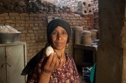 Small Loans, Big Problems: The False Promise of Microfinance - Local Futures | Peer2Politics | Scoop.it