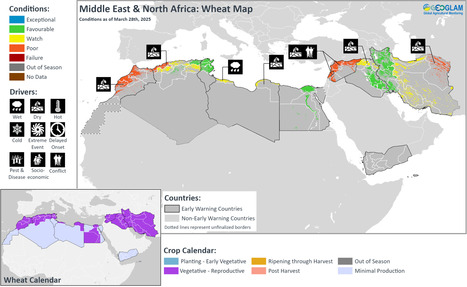 Crop Monitor for Early Warning — No. 103 - April 2025 | MED-Amin network | Scoop.it