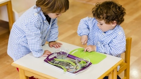 Lectura: “La Pedagogía Montessori, una posibilidad para todas las escuelas” | Educación, TIC y ecología | Scoop.it