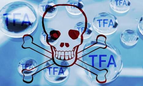 Polluants &eacute;ternels - Dangerosit&eacute; confirm&eacute;e de l&rsquo;omnipr&eacute;sent TFA | ITERG - Veille sectorielle | Scoop.it