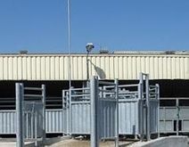 Les usagers de l'abattoir d'Hazebrouck (59) ont d&eacute;j&agrave; un oeil hors de la Flandre | La Gazette des abattoirs | Scoop.it