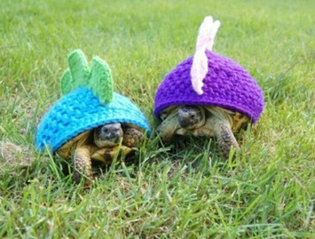 Turtle Outfits | Kitsch | Scoop.it