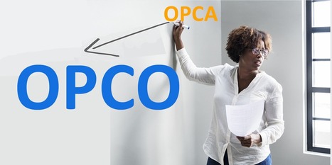 Les 11 OPCO au Journal Officiel - Birdwell International, formation langues | Métiers, emplois et formations dans la filière cuir | Scoop.it