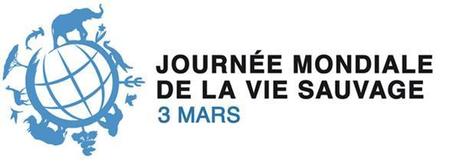 Le 3 mars est la Journée mondiale de la vie sauvage | Variétés entomologiques | Scoop.it