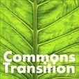 Commons Transition Plan Discussion | P2P Foundation | Peer2Politics | Scoop.it