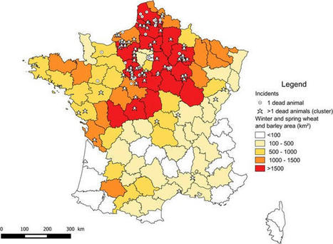 On sait depuis 2016 que les pesticides sont la principale cause de la disparition des oiseaux en France | Histoires Naturelles | Scoop.it