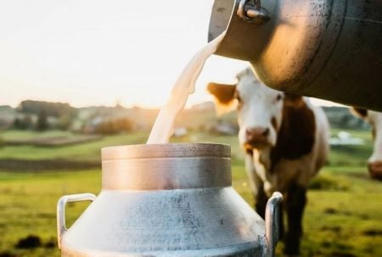 Kenya : la fili&egrave;re lait a &eacute;tabli un nouveau record de production en 2025 | Revue de Presse Afrique & PMO anglophone ou lusophone par service international de CCI Normandie | Scoop.it