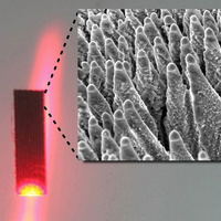 How a new kind of "black silicon" is revolutionizing solar cells [Energy] | Dr. Goulu | Scoop.it