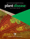 Biocontrol of plant diseases using Glycyrrhiza glabra leaf extract | Xanthomonadaceae plant diseases | Scoop.it