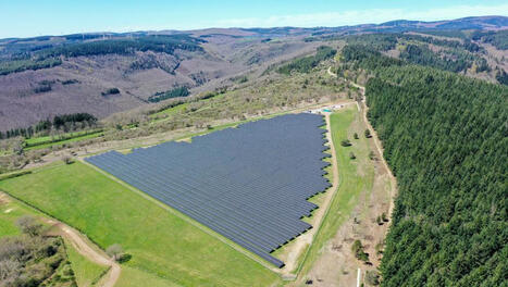 La Tourette-Cabardès. Une centrale solaire et 100 brebis sur un site en friche depuis 65 ans au nord de l’Aude | Transition énergétique territoriale | Scoop.it
