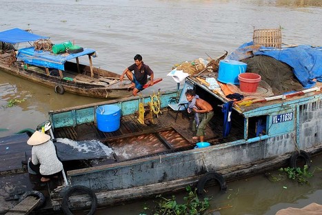 Naviguer sur le M&eacute;kong | Voyage au coeur du Vietnam | Scoop.it
