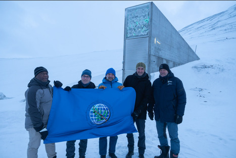 Semi di olivo nelle Isole Svalbard: traguardo storico per la tutela della biodiversit&agrave; olivicola | OLIVE NEWS | Scoop.it