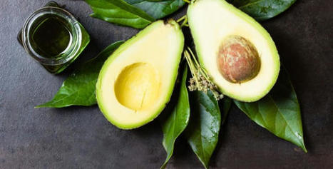 FOOD : Avocado over-supply pushes need for export  | ALIMENTATIONS | Scoop.it