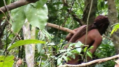 VIDEO. "Des gens veulent sa mort" : comment un indigène brésilien survit seul dans la forêt amazonienne | Meilleure revue de presse de l'univers connu | Scoop.it