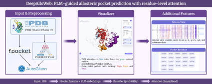 DeepAlloWeb: a web server for interactive allosteric pockets prediction using protein language model | jmb | RMH | Scoop.it