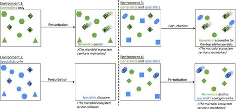 Determining Microbial Niche Breadth in the Environment for Better Ecosystem Fate Predictions | mSys | RMH | Scoop.it