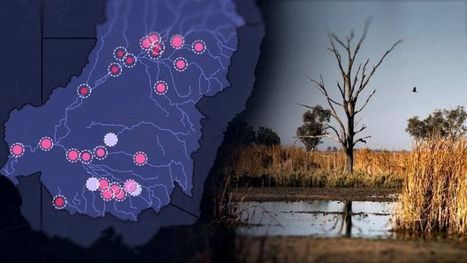 The mystery of the Murray-Darling's vanishing flows - ABC News (Australian Broadcasting Corporation) | GTAV AC:G Y7 - Water in the world | Scoop.it