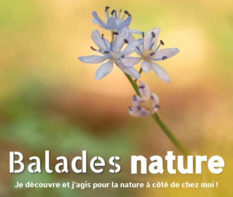 ÉCLUZELLES - La fête des mares, les amphibiens et insectes des mares | Radio Intensité, Eure-et-Loir et Région Centre | Variétés entomologiques | Scoop.it