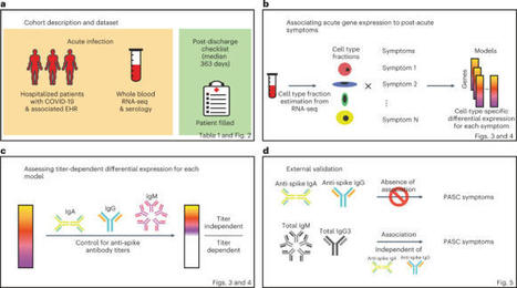 Molecular states during acute COVID-19 reveal distinct etiologies of long-term sequelae | Nature Medicine | Immunology | Scoop.it