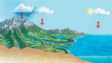 Observe a raindrop traveling through various paths of the water cycle. | Geography classroom | Scoop.it